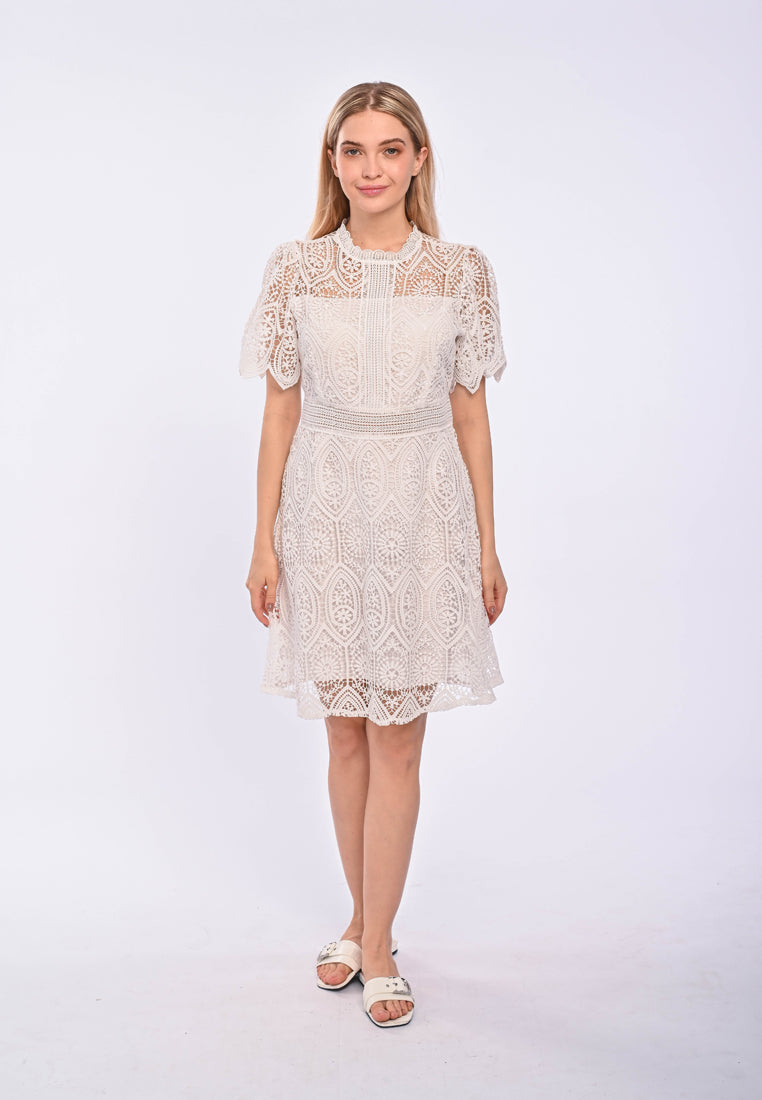 TRINTY - long sleeve lace dress
