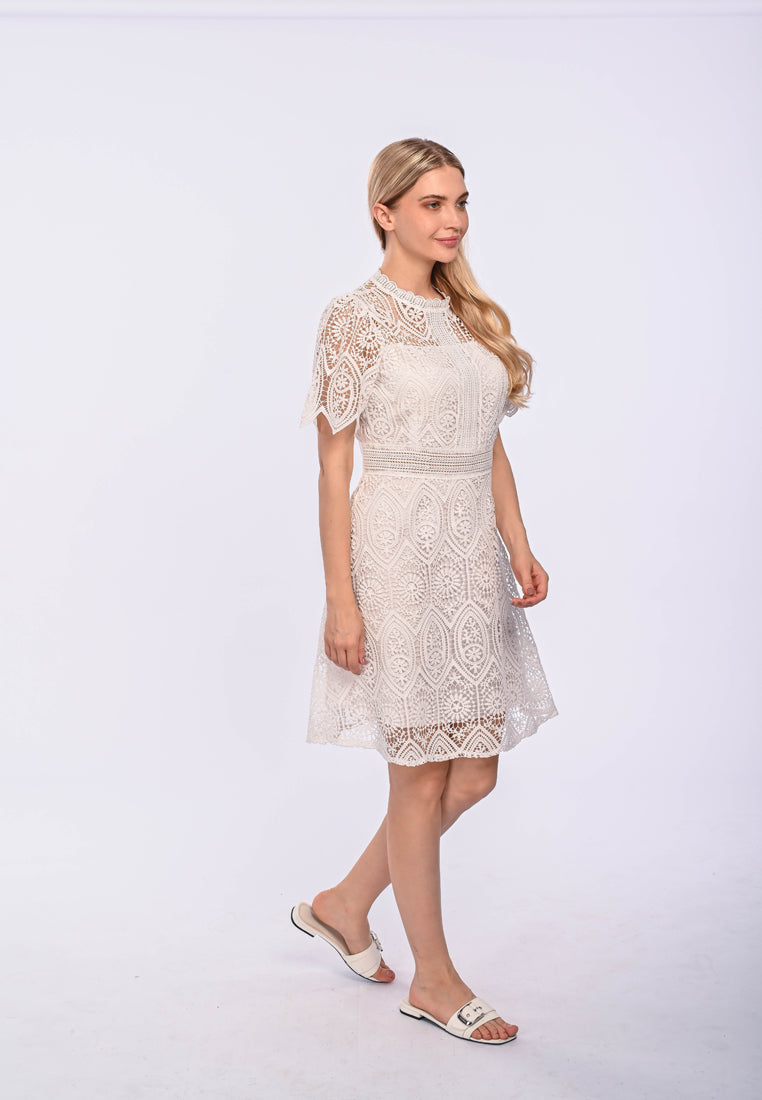 TRINTY - long sleeve lace dress